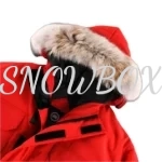 Canada Goose Jacket - Image 3