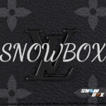 Louis Vuitton Bag - Image 5