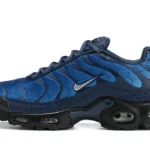 Nike Air Max Plus "Blue Hex"