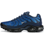 Nike Air Max Plus "Blue Hex"