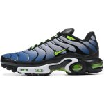 Nike Air Max Plus Icons Deep Royal Scream Green