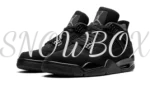 Air Jordan 4 Black Cat 2020 - Image 2