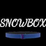 Louis Vuitton Reversible Belt