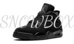 Air Jordan 4 Black Cat 2020 - Image 4
