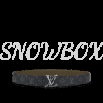 Louis Vuitton Reversible Belt
