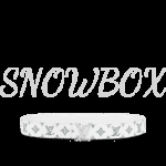 Louis Vuitton Reversible Shadow Belt