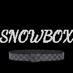 Louis Vuitton Reversible Belt