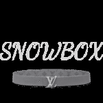 Louis Vuitton Reversible Belt - Image 3