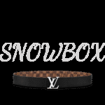 Louis Vuitton Reversible Belt - Image 3