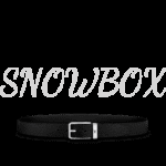 Louis Vuitton Reversible Belt