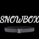 Louis Vuitton Reversible Belt