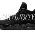 Air Jordan 4 Black Cat 2020