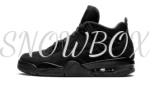 Air Jordan 4 Black Cat 2020