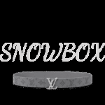 Louis Vuitton Reversible Belt