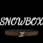 Louis Vuitton Reversible Belt