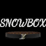Louis Vuitton Reversible Belt - Image 3