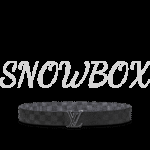 Louis Vuitton Reversible Belt - Image 3