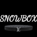 Louis Vuitton Reversible Belt - Image 3