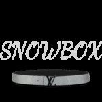 Louis Vuitton Reversible Belt