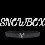 Louis Vuitton Pyramid Belt