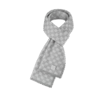 Louis Vuitton Néo Petit Damier Scarf