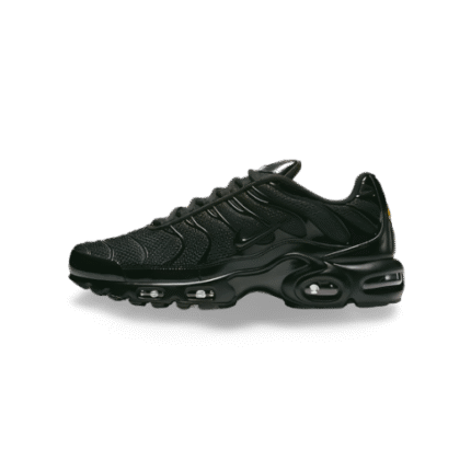 Nike Air Vapormax Plus Trainers