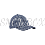 Dior Oblique Cap