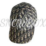 Dior Oblique D-Player Cap