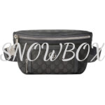 Gucci GG Supremes canvas