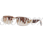 Christian Dior Glasses