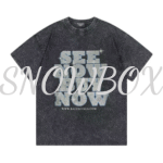 Balenciaga t-shirt GREY