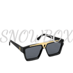 LOUIS VUITTON SUNGLASESS Evidence