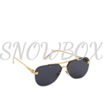 LOUIS VUITTON ASH SUNGLASSES