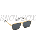 LOUIS VUITTON SUNGLASSES  iconic Evidence
