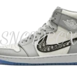 Air Jordan 1 Retro High Dior