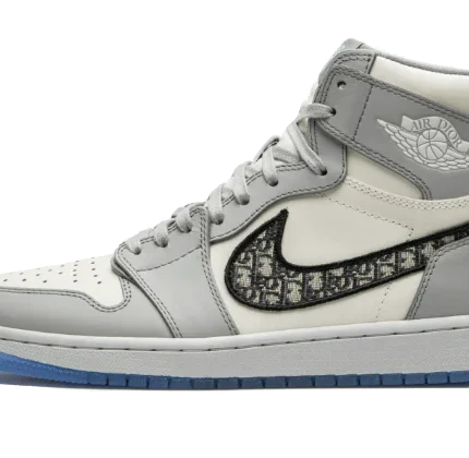 Air Jordan 1 Retro High Dior