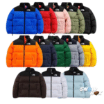 The north face jacket