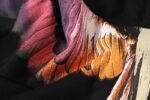 Marcelo Burlon Hoodie Icon Wings Dark Rainbow - Image 9