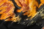Marcelo Burlon Hoodie Icon Wings Yellow - Image 6