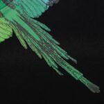 Marcelo Burlon T-Shirt Icon Wings Rainbow - Image 4