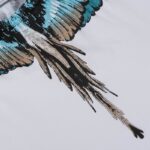 Marcelo Burlon T-Shirt Icon Wings Sky Blue - Image 7