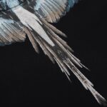 Marcelo Burlon T-Shirt Icon Wings Sky Blue - Image 5