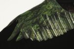Marcelo Burlon T-Shirt Icon Wings Green Amazon - Image 3