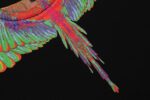 Marcelo Burlon T-Shirt Icon Wings Amazon - Image 2